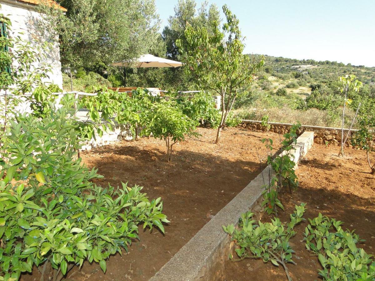 Apartamento Zele Dolac Exterior foto